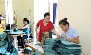 Những phụ nữ khuyết tật giàu nghị lực, vươn lên trong cuộc sống.