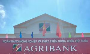 Agribank thành phố Thủ Đức thông báo tuyển dụng lao động đợt 1 năm 2024
