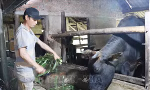 Ưu tiên nguồn lực đầu tư phát triển vùng đồng bào dân tộc thiểu số và miền núi