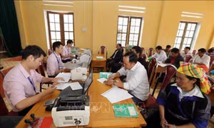 Hỗ trợ đồng bào Yên Bái phát triển kinh tế 