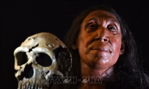Phục dựng khuôn mặt người Neanderthal sống cách đây 75.000 năm