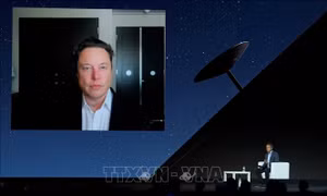 Italy tạm ngừng đàm phán với SpaceX về hệ thống vệ tinh Starlink