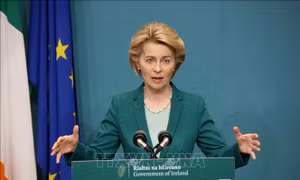EU cảnh báo đánh thuế dịch vụ số Mỹ nếu đàm phán thất bại
