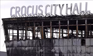 Bắt giữ đối tượng nghi hỗ trợ tài chính cho kẻ tấn công nhà hát Crocus City Hall
