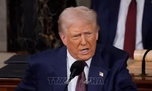 NATO khẳng định cam kết phòng thủ chung sau phát biểu của Tổng thống Trump