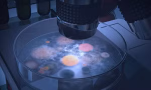 Các nhà khoa học Nga tìm ta cách tăng cường sức mạnh cho pin sinh học