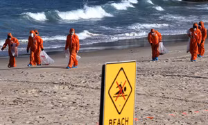 Báo cáo mật hé lộ nguyên nhân vụ 'bóng chất thải' tràn bãi biển Sydney, Australia