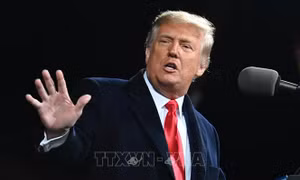 Luật sư của ông Trump nói cựu Tổng thống sẽ không thỏa thuận nhận tội