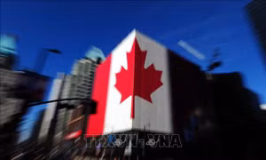 Lý do người Canada bất ngờ gia tăng mức độ quan tâm với việc gia nhập EU