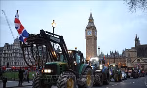 Anh cân nhắc ngừng hệ thống thương mại Brexit trị giá 180 triệu bảng