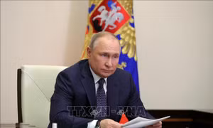 Nga, Saudi Arabia thảo luận về xung đột ở Ukraine và hợp tác trong OPEC+
