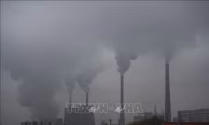 Cuộc chiến kép chống 'dịch bệnh bị lãng quên'