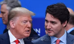 Canada và Mexico cạnh tranh chiến lược trước chính sách mới của ông Donald Trump