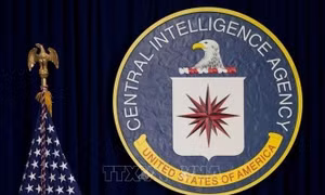Cựu quan chức CIA: Mỹ chỉ viện trợ cho Ukraine 'đủ để chiến đấu'