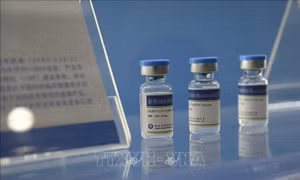 Mỹ nêu lý do chấm dứt tài trợ 22 dự án phát triển vacccine sử dụng công nghệ mRNA
