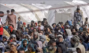 Đức tạm ngừng tiếp nhận người tị nạn Afghanistan, hàng nghìn người mắc kẹt tại Pakistan