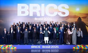Nghị sĩ Nga đánh giá về vai trò của các nước châu Phi tại BRICS