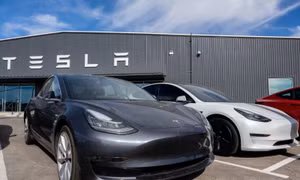 Nữ tài xế mắc kẹt trong cái nóng 46 độ vì xe Tesla cập nhật phần mềm