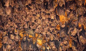 5 điểm đến đáng sợ ở Châu Á cho dịp Halloween