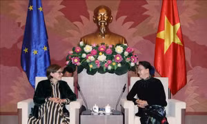 Chủ tịch Quốc hội Nguyễn Thị Kim Ngân tiếp Phó Chủ tịch Nghị viện châu Âu