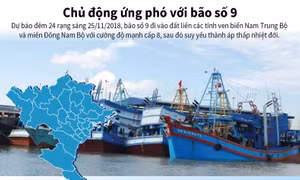 Chủ động ứng phó với bão số 9