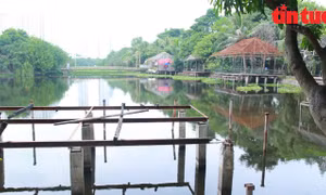 Cận cảnh khu sinh thái rộng hơn 15ha bị ‘lãng quên’ giữa Thủ đô