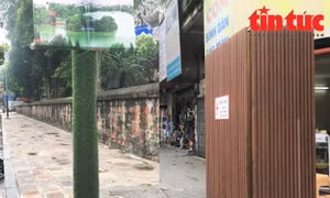 Hà Nội 'mặc áo giáp’, bọc cỏ nhựa cho cột đèn, bốt điện 