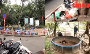 Vườn hoa tiền tỷ thành nơi đá gà, thả chó, bị hàng quán ‘xẻ thịt’