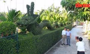 Ngắm linh vật rồng dài 20m đón Tết Giáp Thìn của người nông dân Nam Định