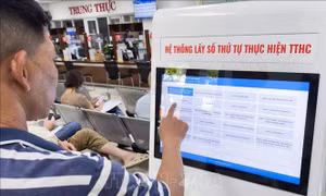 Khẩn trương rà soát, cắt giảm thủ tục hành chính dựa trên dữ liệu số