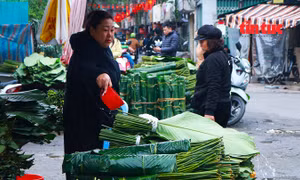 Chợ lá dong Hà Nội vào vụ Tết, giá giảm nhưng sức mua vẫn thấp