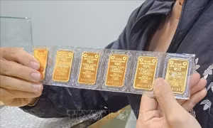 Giá vàng lập đỉnh kỷ lục 126,6 triệu đồng/lượng
