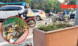 Nhếch nhác bồn hoa di động trên phố Nguyễn Thái Học, Hà Nội