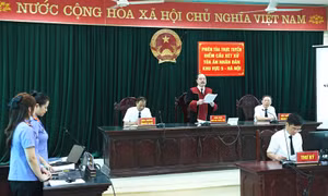 Bảo vệ lợi ích công bắt đầu từ tinh thần chủ động của người Kiểm sát viên.