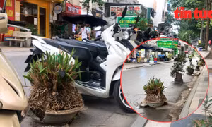 Ngang nhiên đặt vật cản giữa đường để giữ chỗ đỗ xe ở Hà Nội