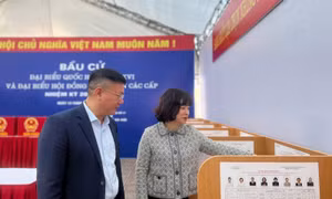 Những quy định cử tri cần biết để phiếu bầu cử hợp lệ