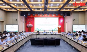 Khắc phục tình trạng chồng chéo trong hệ thống văn bản quy phạm pháp luật