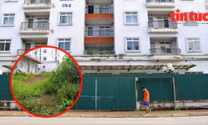 Cận cảnh khu tái định cư bỏ hoang từng là trụ sở quận ở Hà Nội