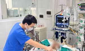 Những chủng cúm nào đang lưu hành?