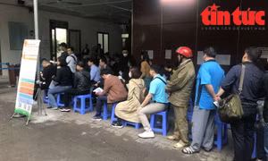 Chủ tịch TP Hà Nội chỉ đạo cung cấp kết quả xử lý vụ 'cò' đổi bằng lái xe đăng trên báo Tin tức