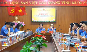 Viện Kiểm sát nhân dân khởi kiện bảo vệ lợi ích công, bảo vệ người yếu thế.