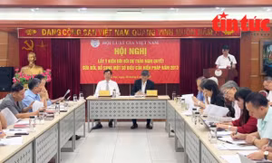 Hội Luật gia Việt Nam tích cực tham gia đóng góp ý kiến sửa đổi Hiến pháp