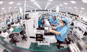 Từ ngày 5/5, Bộ Công Thương là đầu mối cấp C/O cho doanh nghiệp
