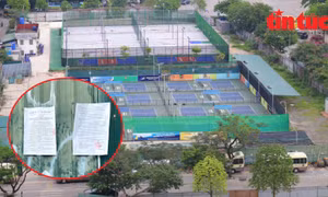 Ngừng cung cấp điện, nước đối với tổ hợp sân pickleball vi phạm ở Hà Nội