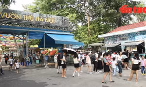 Nghỉ lễ ngày giữa tuần, nhiều người xếp hàng mua vé vào Công viên Thủ Lệ vui chơi
