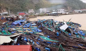 Thiên tai từ đầu năm 2025 gây thiệt hại gần 100.000 tỷ đồng
