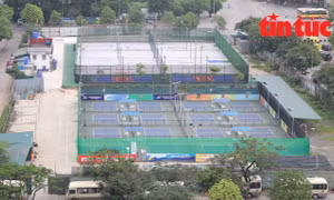  Cần xử lý dứt điểm tổ hợp sân pickleball 'mọc' trên đất dự án bỏ hoang ở Hà Nội