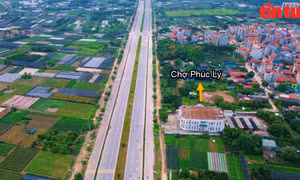Chợ tiền tỷ bỏ hoang giữa cánh đồng hoa ở Hà Nội