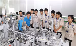 Phát triển nguồn nhân lực vùng kinh tế trọng điểm phía Nam - Bài cuối: Đào tạo gắn với thị trường lao động