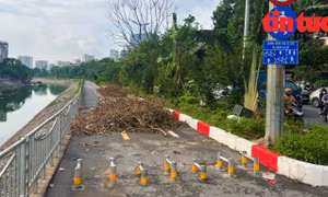 Đường dành riêng cho người đi bộ, xe đạp ở Hà Nội ngập rác cây xanh